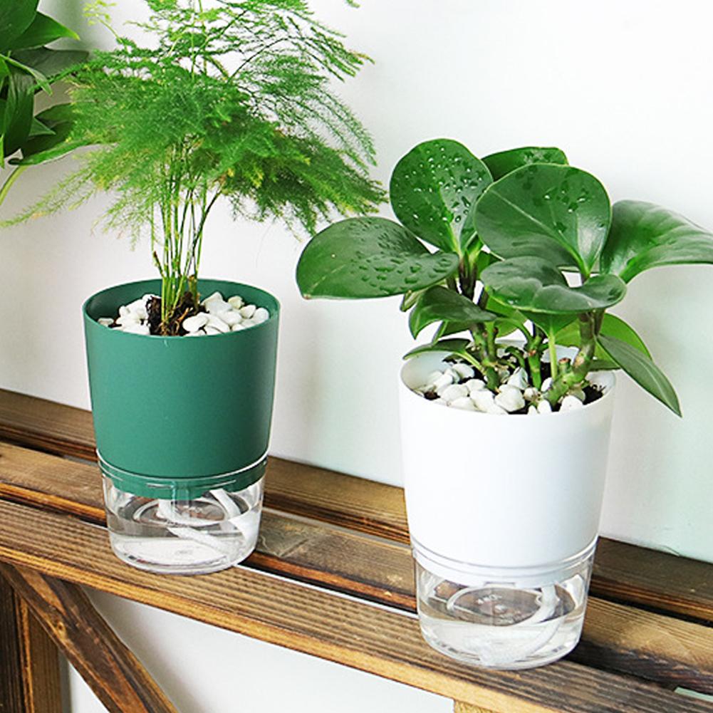 Self Watering Plastic Flower P - Aloe Vera Pot ulasan dan harga