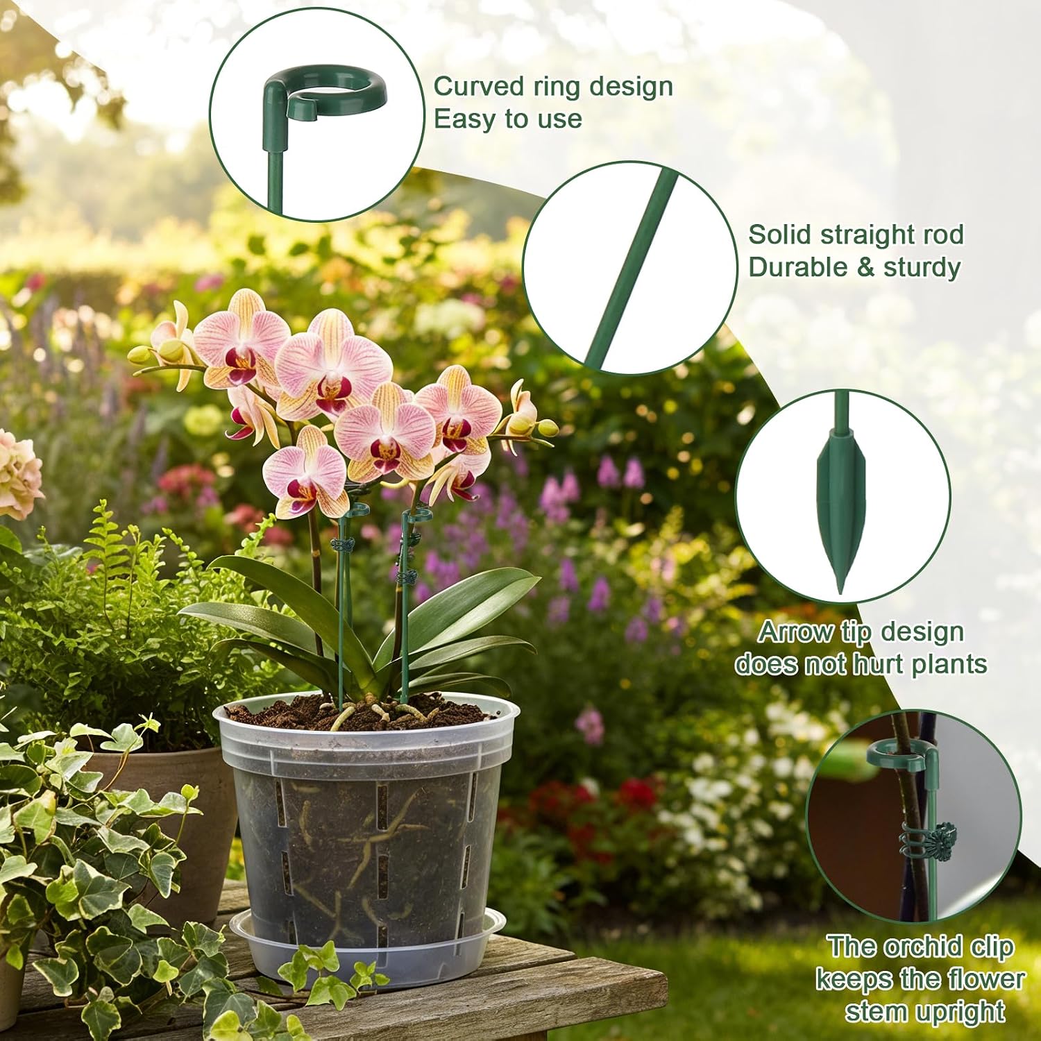 5/10pcs Plant Support Stakes P - Echeveria Succulent ulasan dan harga