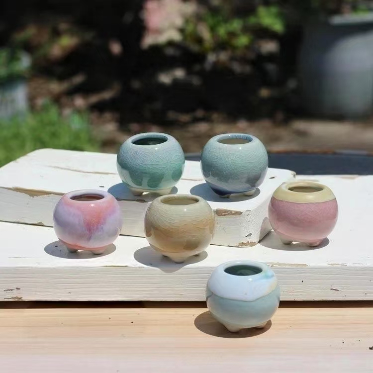 6Pcs Mini Flowerpot Succulents - Echeveria Succulent ulasan dan harga