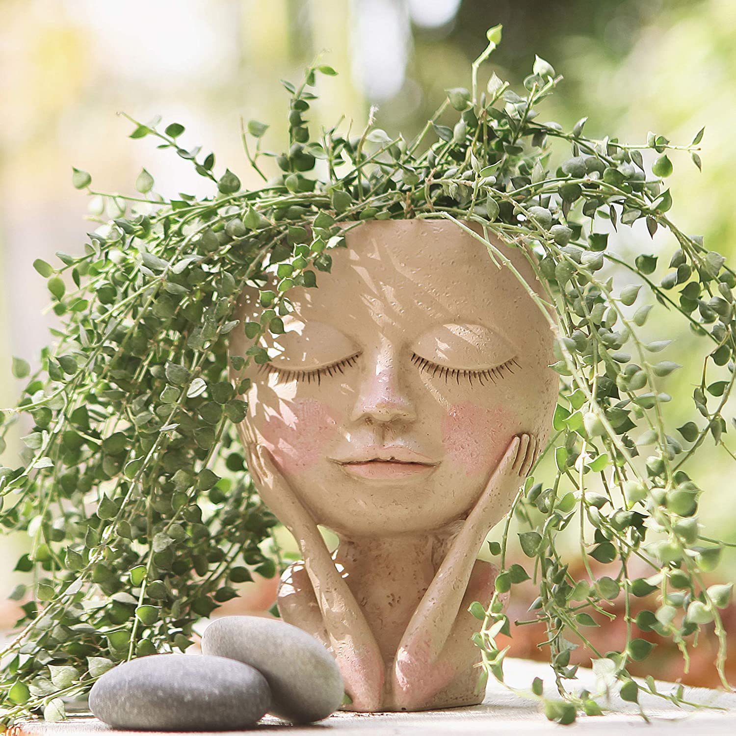 Girls Face Head Flower Planter - Echeveria Succulent ulasan dan harga